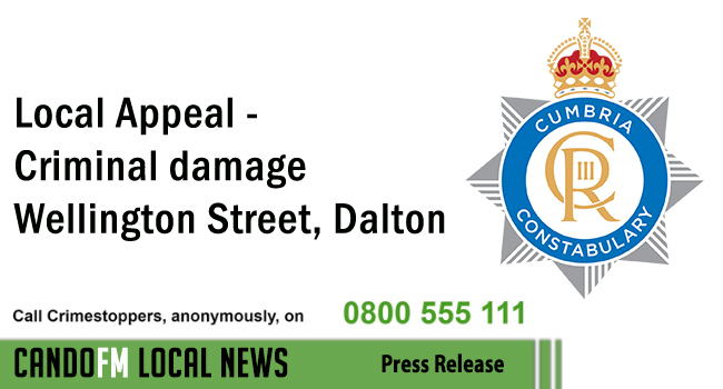Local Appeal – Criminal damage Wellington Street, Dalton