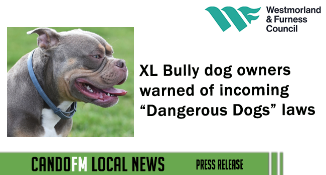 XL Bully dog owners warned of incoming “Dangerous Dogs” laws
