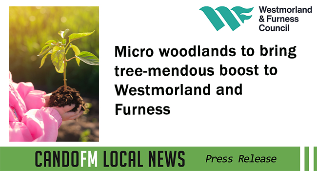 Micro woodlands to bring tree-mendous boost to Westmorland and Furness