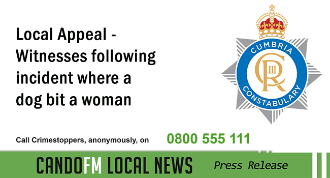 Local Appeal – Witnesses following an incident where a dog bit a woman