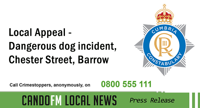 Local Appeal – Dangerous dog incident, Chester Street, Barrow