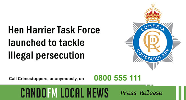 Hen Harrier Task Force launched to tackle illegal persecution