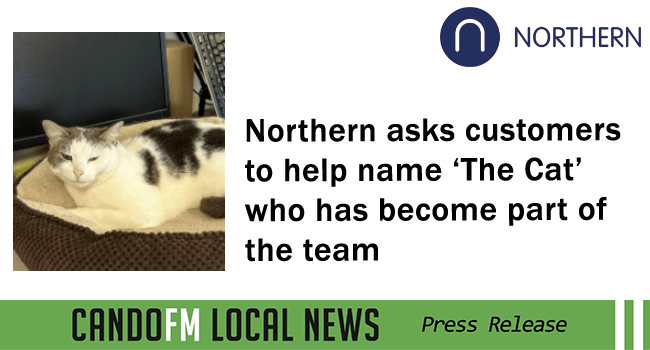 Northern asks customers to help name ‘The Cat’ who has become part of the team